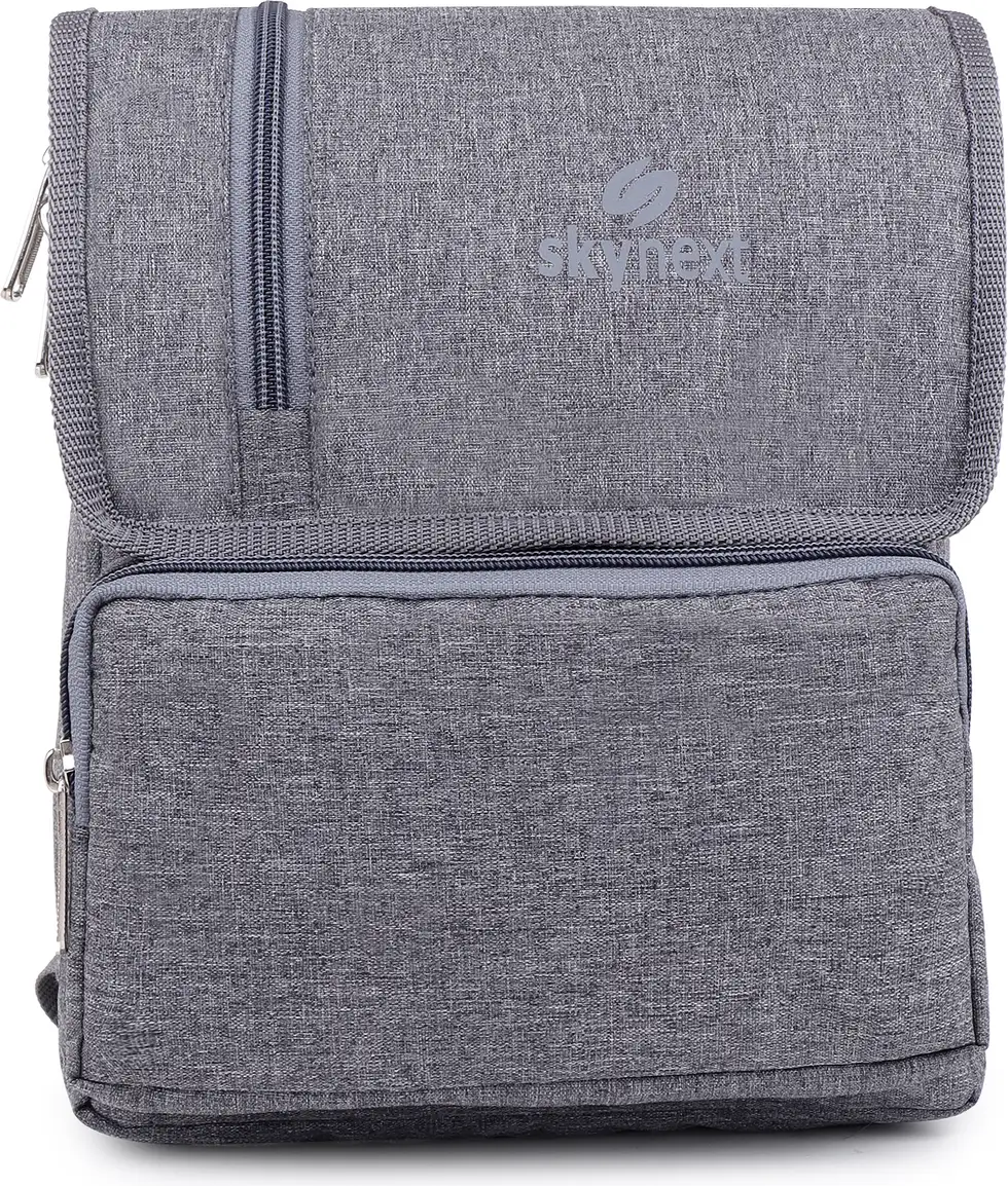 skynext Grey Sling Bag
