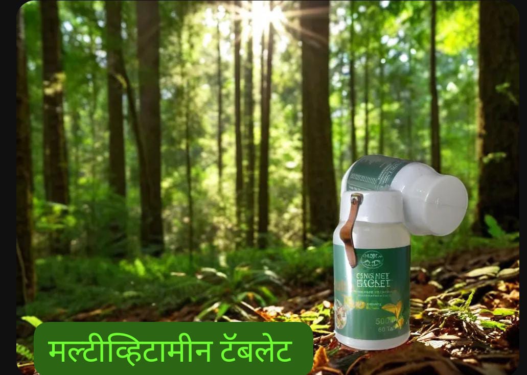 Multivitamins Tablet 